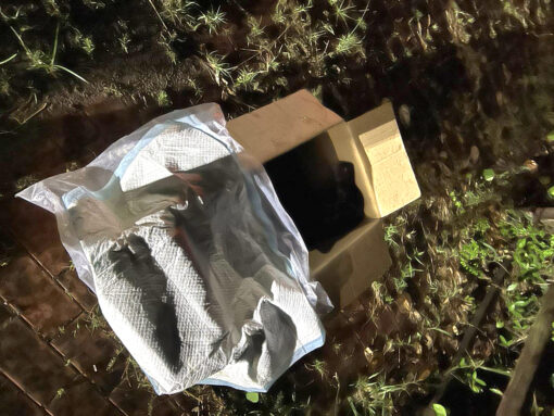 【驚險救援】四腳都無法站立走動的老狗趴趴被殘忍棄置馬路中央